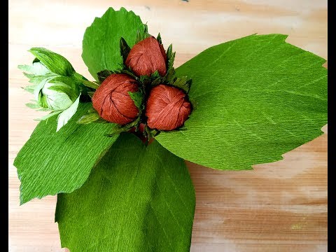 How to make Crepe paper Hazelnuts (flower # 282)