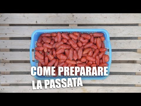 Come PREPARARE la PASSATA