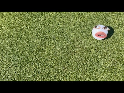 Life of A Golf Ball