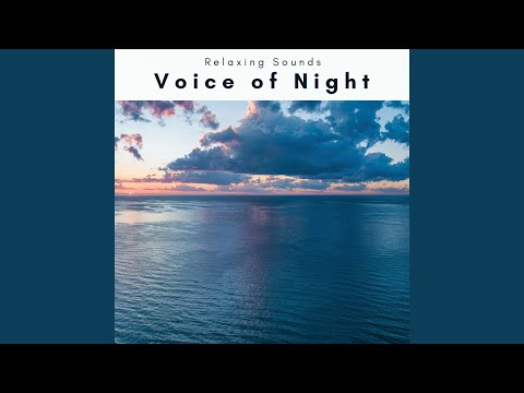 Journey of Sea Music Pt. 2