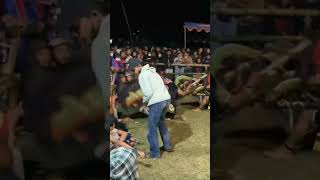 Download lagu jathilan ngamuk Penonton mp3