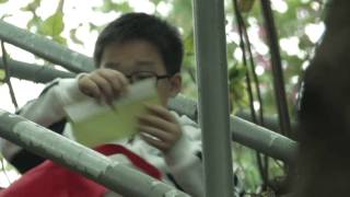 參展好戲免費睇 : 一封情書(下)