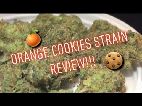 download lagu mp3 mp4 Orange Cookies, download lagu Orange Cookies gratis, unduh video klip Orange Cookies