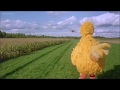 Sesame Street Follow That Bird Is That Miss Finch