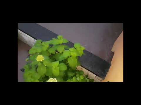 Land unter in Bissen