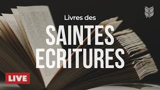 🔴 La Bible vivante en direct — Jésus, espérance éternelle | BibleVision Français