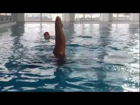 Teodora Cakarmis, cyclone