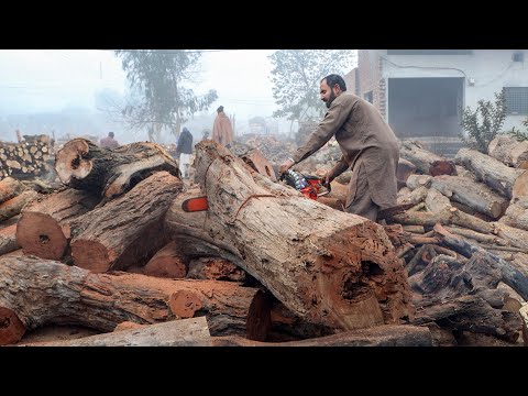 Process of Making Wooden Musical Drum (Dhol) | Traditional Drum Manufacturing Process