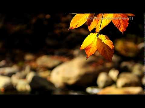 GHEORGHE ZAMFIR - Time To Say Goodbye