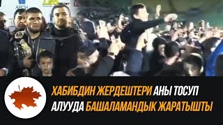 Хабибдин жердештери аны тосуп алууда башаламандык жаратышты