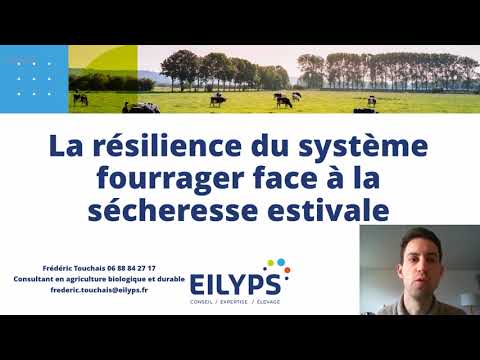 Formation - Comment faire pour ne pas manquer de fourrage en cas de sécheresse ?