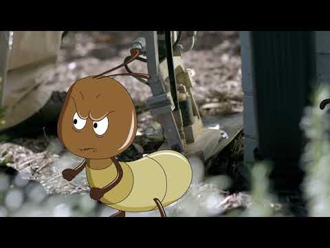 Black Pest Prevention Termites