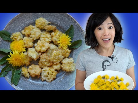 FRIED DANDELIONS Recipe -- Free Eats