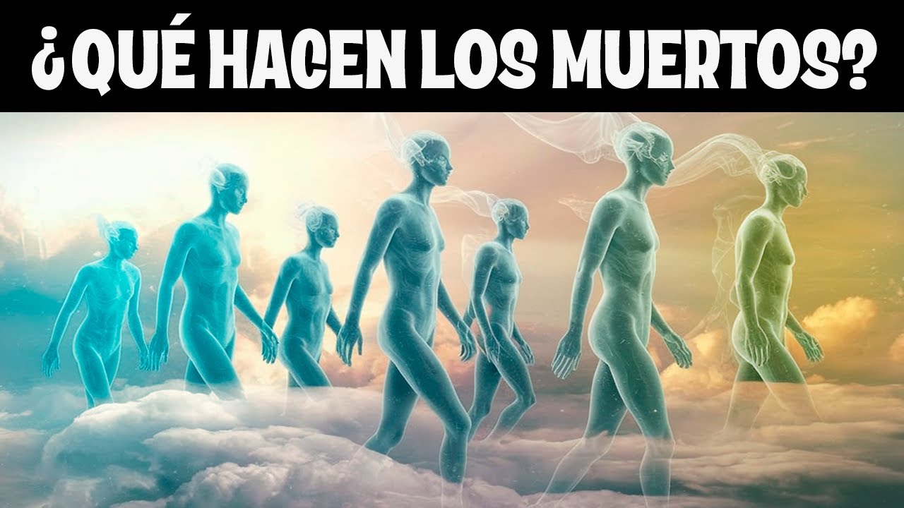 ¿QUÉ ESTÁN HACIENDO LOS MUERTOS EN ESTE MOMENTO?