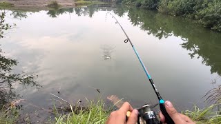 Download lagu Nekat mancing ikan babon yang bersembunyi saat bertelur || MANCING LIAR || MANCING IKAN BABON mp3