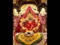Om Ganganpatiye Namo Namah Lord Status Aarti Ytshorts Ganpatibappa Siddhivinayak Ytshorts