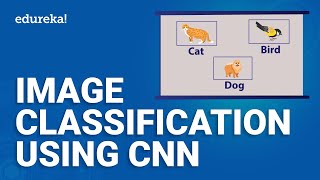  - Image Classification using CNN | Deep Learning Tutorial | Machine Learning Project 9 | Edureka