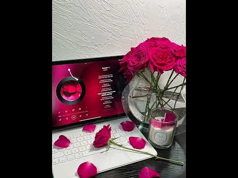 予你 顾飞飞(1.3倍)