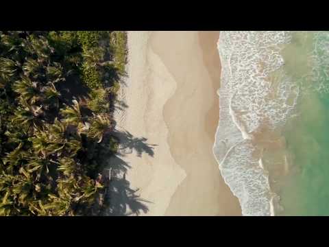 MOMMY X PHILANTHROPE – Embrace (ft. Monma, Misha & Cocabona)