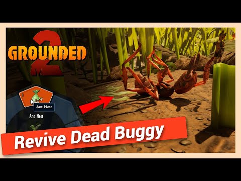 How to Revive Dead Buggy in Grounded 2 | Quick Guide