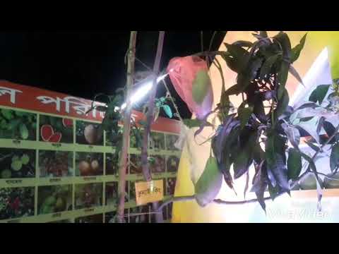 জাতীয় ফল মেলা ২০১৮