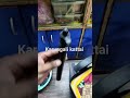 Karungali Kattai 6001579153