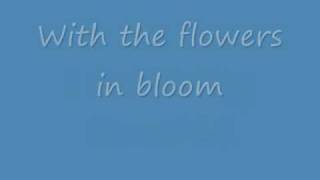 The Town That You Live In by Sherwood - lyrics