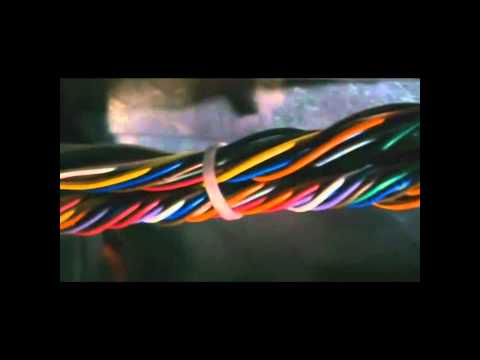 Chris Alex PROMO Teaser #1