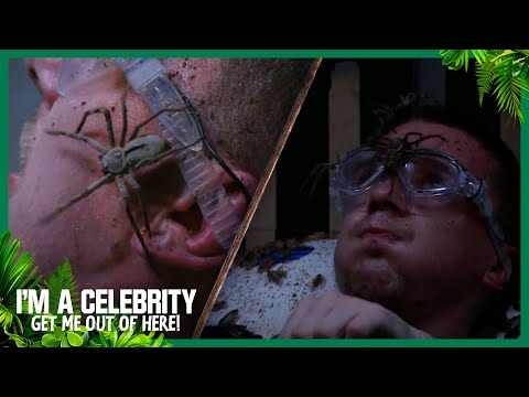 Aitch faces a Trial of nightmares | I’m A Celebrity… Get Me Out of Here! 2025