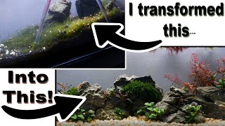 I Turned an ALGAE FARM into an AQUASCAPE! - 3ft. 10 Gallon Bookshelf  #aquascaping #transformation