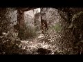 THE POET · Bruno Sanfilippo [ 1631 Recordings ]