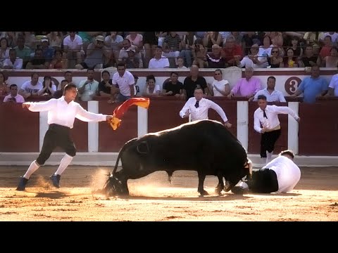 Zamora 2023 Concurso con Toros Bravos