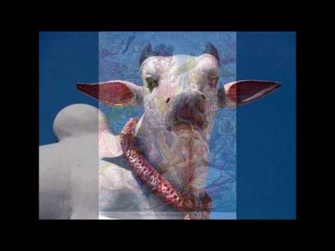 Srimad-Bhagavatam 11.10 Purports - The Nature of Fruitive Activity