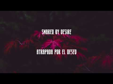 Trap of Love -  The Hex Girls Cover By @dreadlightmusic & @MaiahWynne Lyrics & Subtítulos en Español