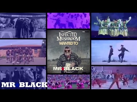 Infected Mushroom - Wanted To (MR.BLACK Remix)