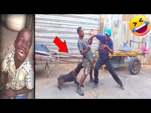 Crazy Funniest Videos Ever In The World!😆 (Try Not To Laugh Challenge) 2026