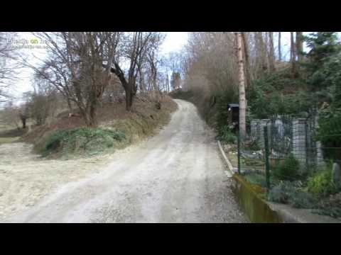 Cesta v naselju Globoka