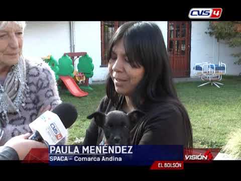 29 04 19  MILVIA DAL PIAN PAULA MENENDEZ  Día del Animal   Actividades de concientización organizada