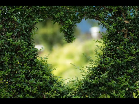 AugenBlick - Poetry Slam | modernes Gedicht