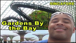 Gardens By the Bay in Singapore | AWESOME!!| | Don's ESL Adventure!