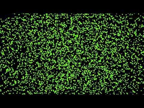 Sub trenul I.R. 1766 Timișoara Nord-Iași