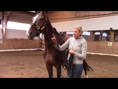 What to do if your horse overtakes you while leading. Andrea Kutsch explains.