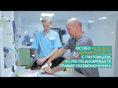 Лечение суставов аппаратом дэнас-пкм Народные средства лечения коленного сустава мениск