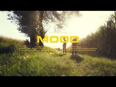 Haston - MOOD (feat. VinsHoodStar) [Official Video]