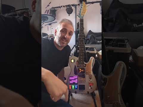 Scarab Guitars DeLorean Time Machine Guitar - Serial #001 - Playable Work of Art Guitars image 19