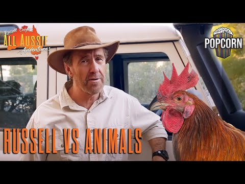 Russell Coight Vs World's Deadliest Animals| All Aussie Adventures