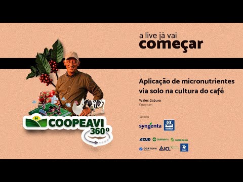Coopeavi 360º - Aplicação de micronutrientes via solo na cultura do café