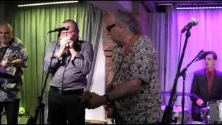 23.08.2013: Steady Rollin`BOB MARGOLIN + Band - Bischofsmühle Hildesheim