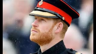 Prince Harry shafted Harry furious as William, Edward & Charles to get his military title.