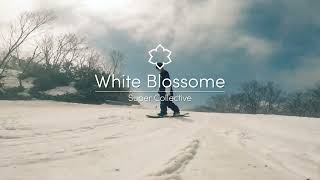2023AW NewProject WhiteBlossome AM423